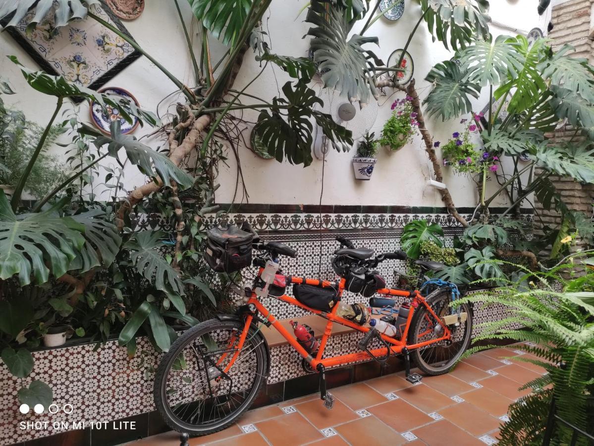 Pension Los Arcos Córdoba Exterior foto
