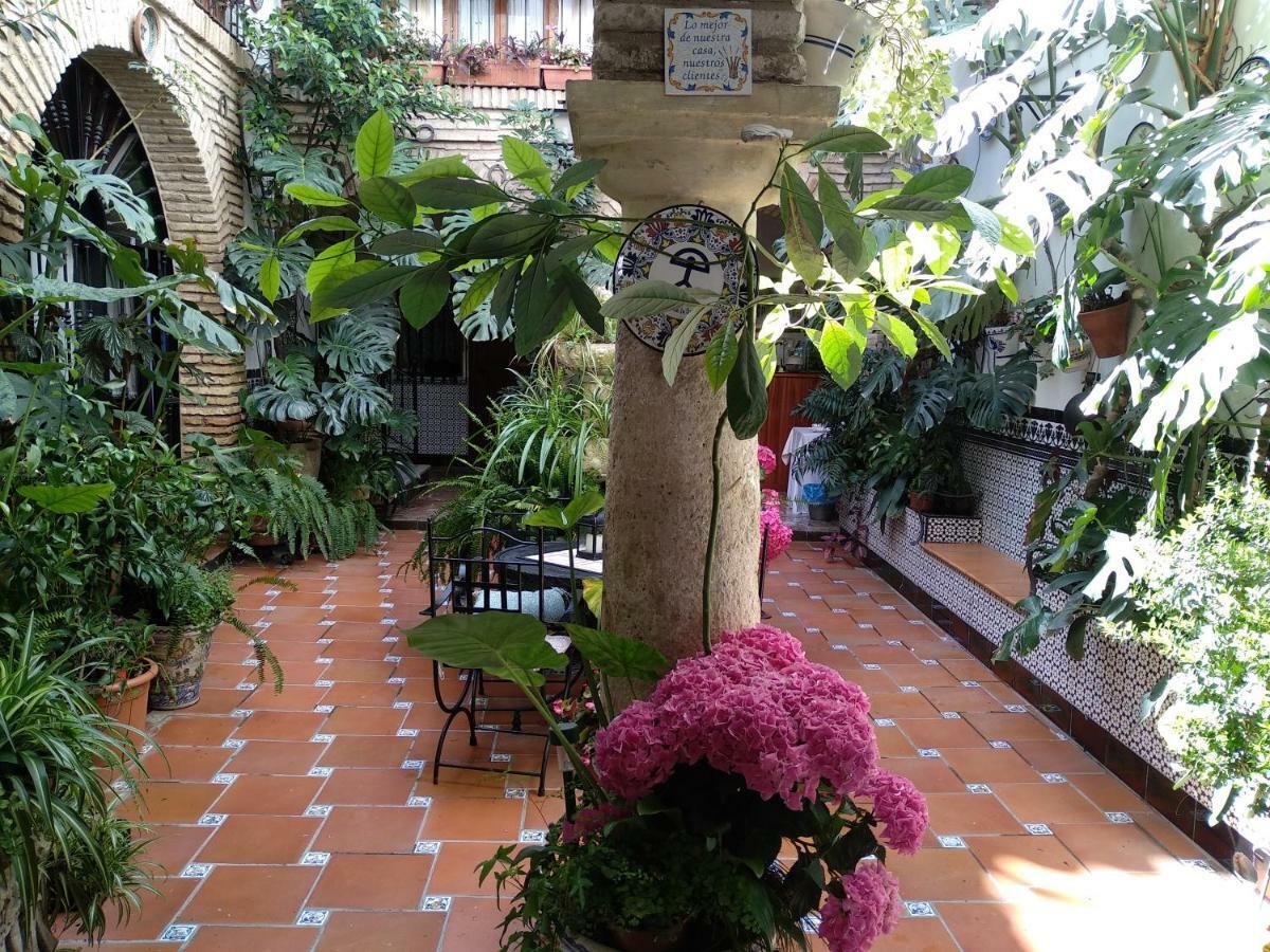 Pension Los Arcos Córdoba Exterior foto