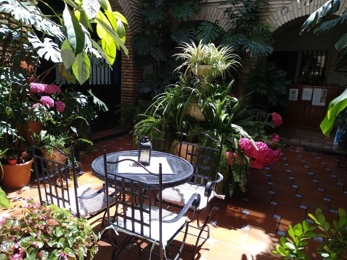 Pension Los Arcos Córdoba Exterior foto