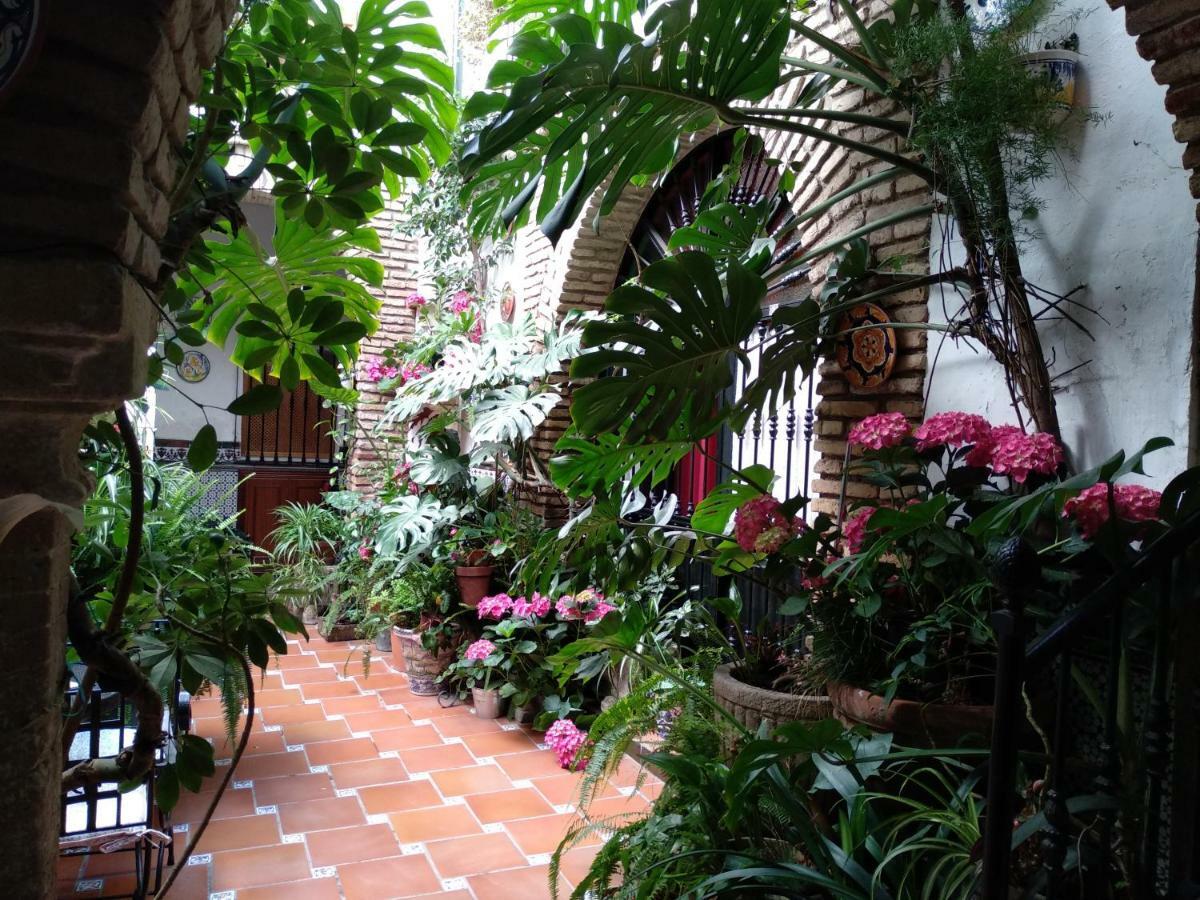 Pension Los Arcos Córdoba Exterior foto