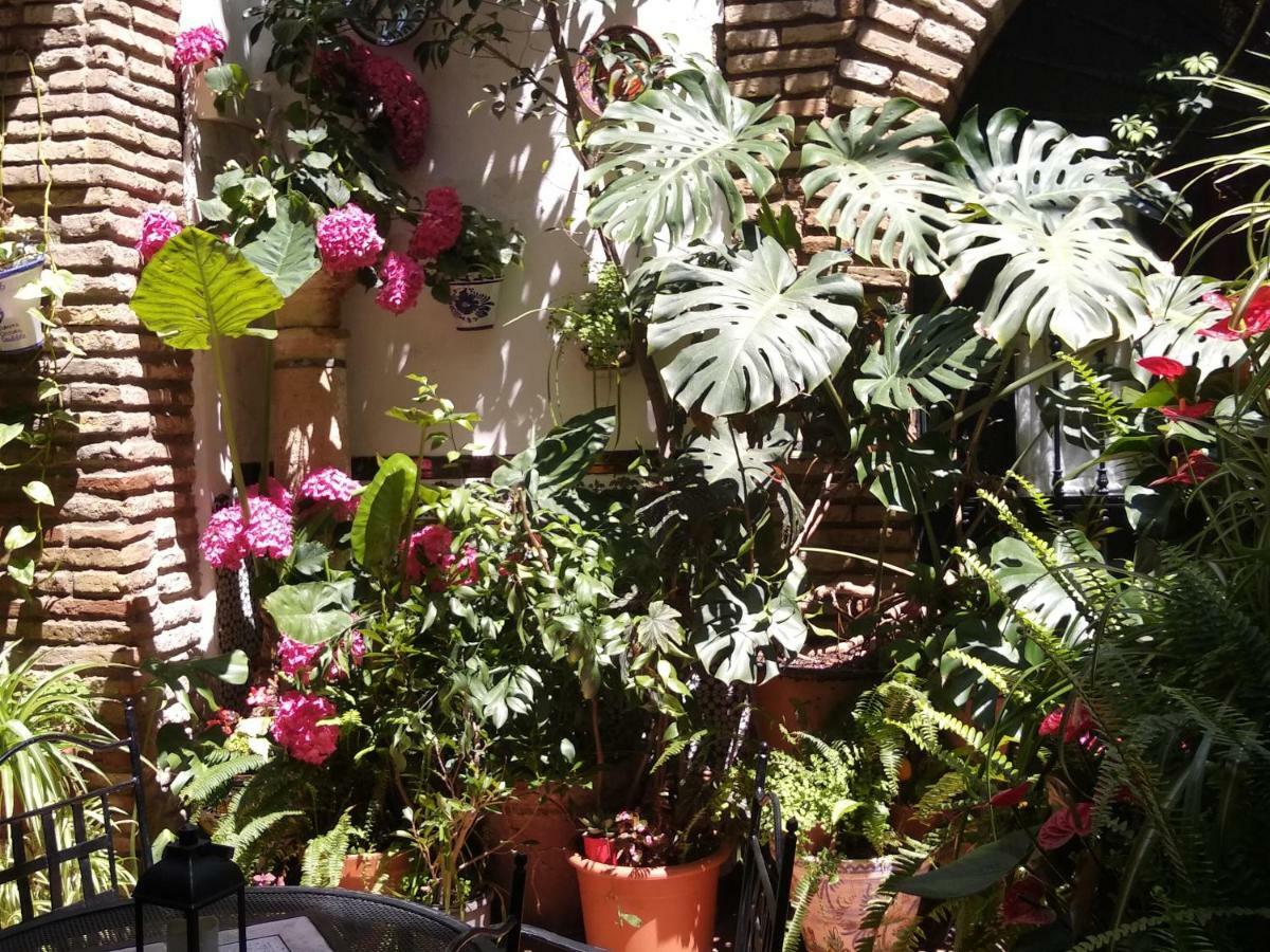 Pension Los Arcos Córdoba Exterior foto